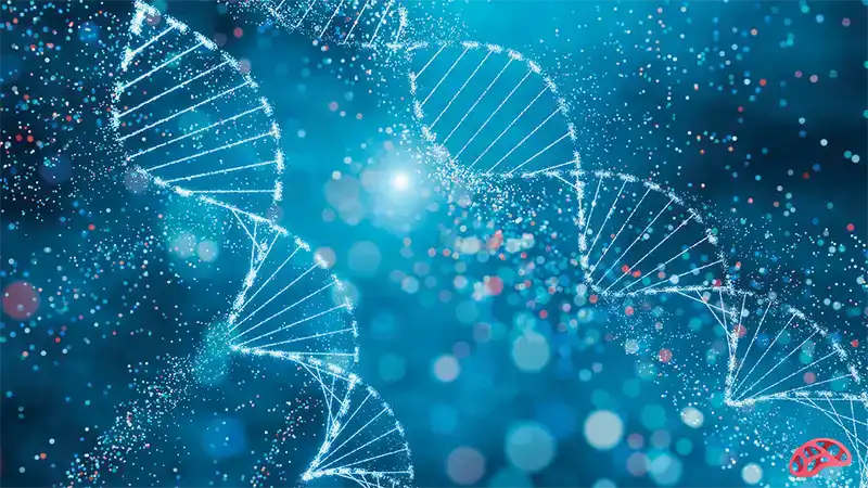 رمزگشایی بخش‌های ناشناخته DNA با هوش مصنوعی AlphaGenome 